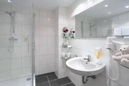 Best Western Rosenau - 42