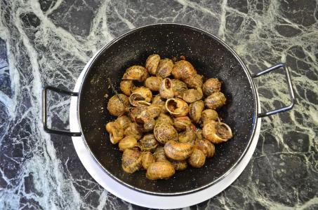 Galena Mas Comangau - 10