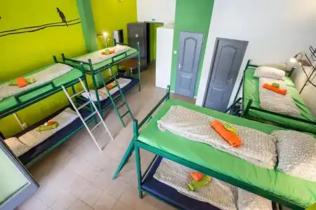 Island Hostel - Adults only - 32