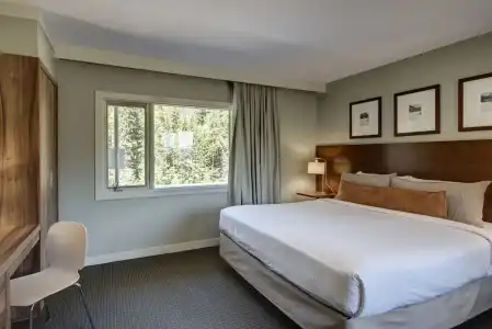 The Juniper - 85