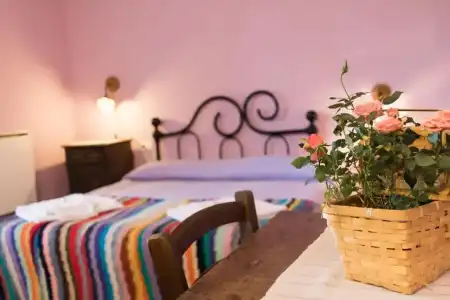 Agriturismo Fattoria Il Bruco - 19