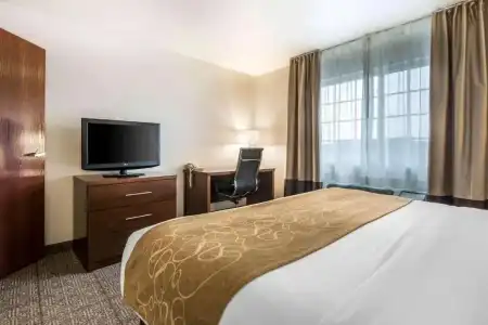 Comfort Suites at Par 4 Resort - 51