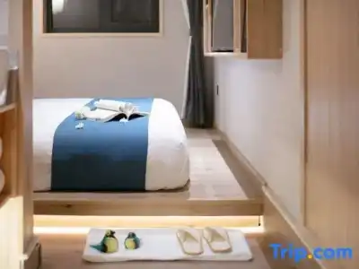 Hôtel Ibis Toulouse Purpan - 61