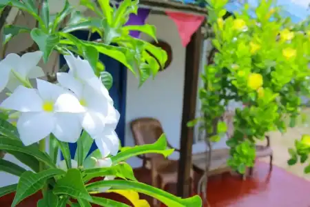 Nilaveli Beach Resort - Level 1 Certified - 41