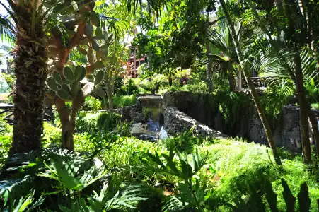 Parque Tropical - 19