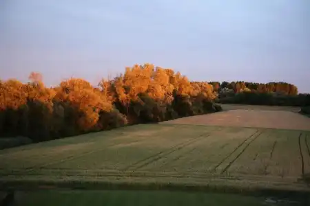 SeeKetsch - 46