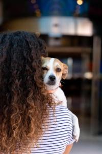 Climia Benidorm Plaza - 44