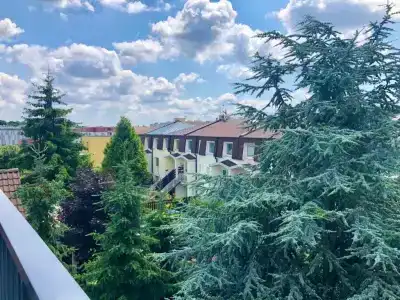 Grand Petit - 43