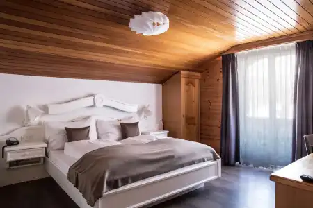 The Larix -Ski in, Ski out - 24