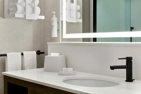 Hampton Inn & Suites Greenville-Downtown-RiverPlace - 117