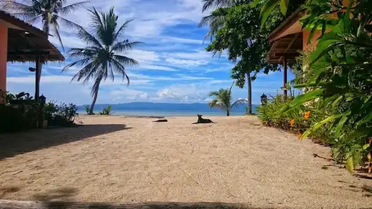 Papillon Bungalows - 57