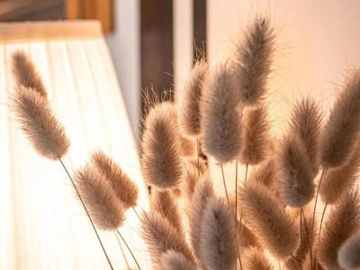 Clos Saint-martin - 29