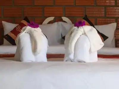 Casacool Khoalak - 24