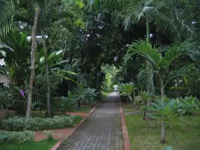 Pattaya Garden Resort - 23