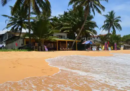 Paradiso - 19