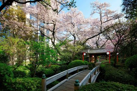 The Prince Sakura Tower Tokyo, Autograph Collection - 43