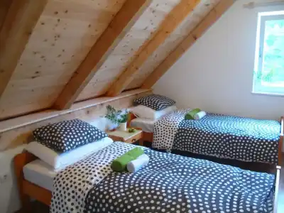 Guesthouse Bor - 27