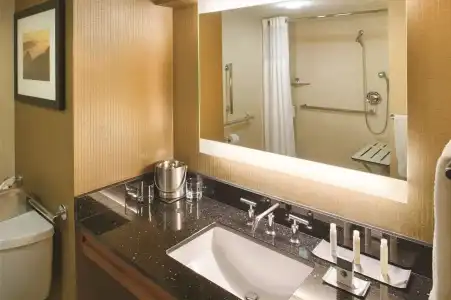 DoubleTree by Hilton Seattle Airport - 8