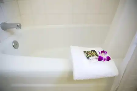 Waikiki Resort - 61