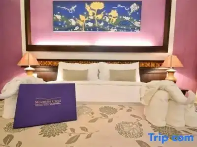 Mountain Creek Wellness Resort - 91