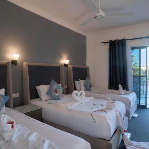 Canary & SPA - 4