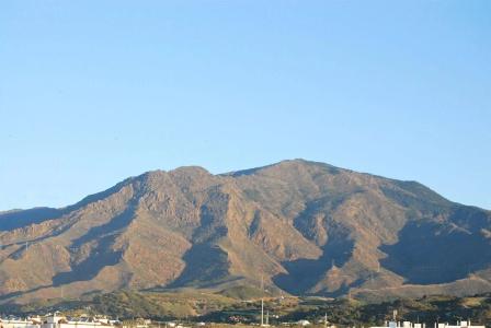 Buenavista - 11