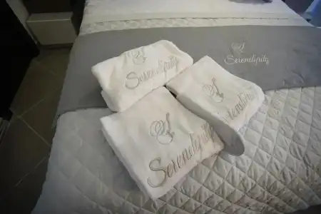 Serendipity B&B - 48