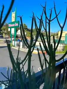 Welcome Inn on Colorado Blvd - 55