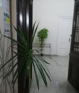 Safary Hostel - 13