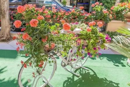 River Fronte Mare Con Piscina - 62