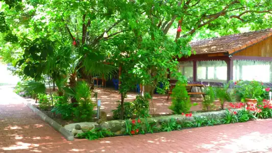 Simge Pension - 11