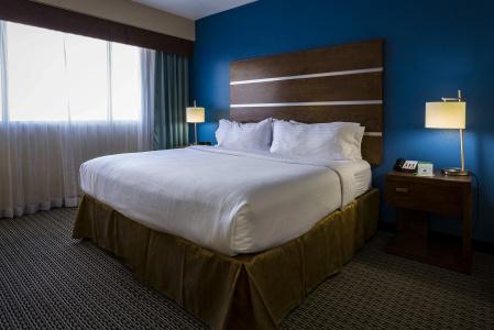 Holiday Inn Houston Downtown by IHG - 47