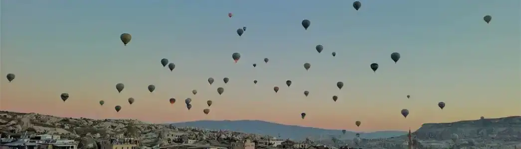 Balloon View - 44