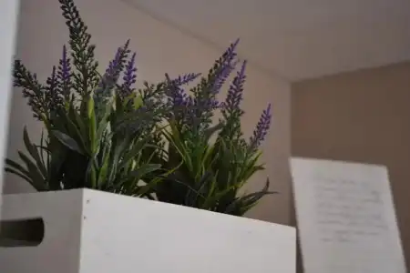 Myricae - 111
