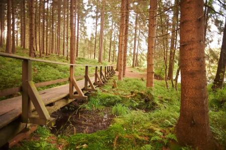 Naturkost-Harz - 15