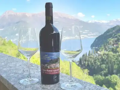 Diffuso Il Portichetto sulla collina a Vezio Perledo - 163