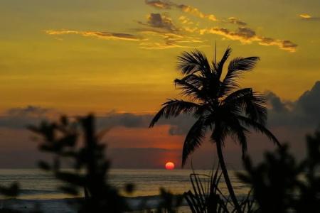 Top Secret Beach - 11