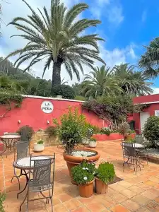 La Peña - 26