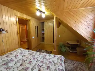 Guesthouse U Dida Viktora - 13