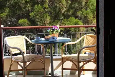 Il Nuovo Gabbiano - 102
