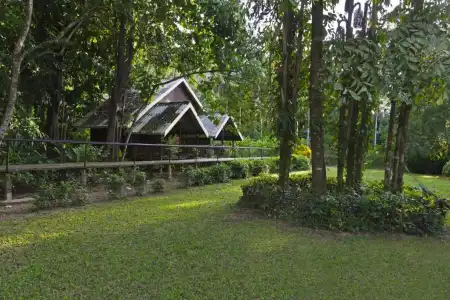 Khao Sok Riverside Cottage - 82