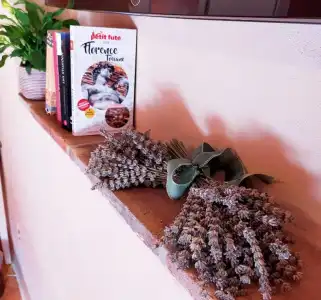 Molino di Foci - 40