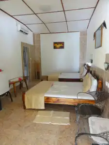 Rising Sun Guesthouse - 6