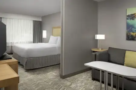 SpringHill Suites by Marriott Boise ParkCenter - 4