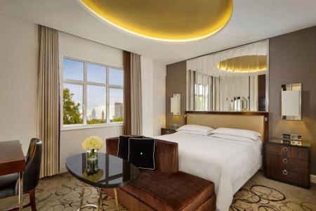 Sheraton Grand London Park Lane - 49