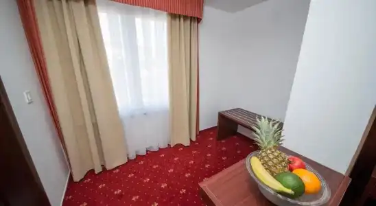 Villa Anton - 9