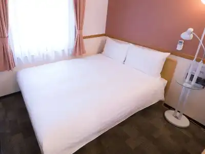 Toyoko Inn Fujisan Numazu Eki Kita Guchi No 1 - 30