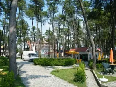 Villa ReTa & Spa - 24
