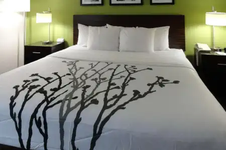 Sleep Inn & Suites Columbus - State University Area - 36