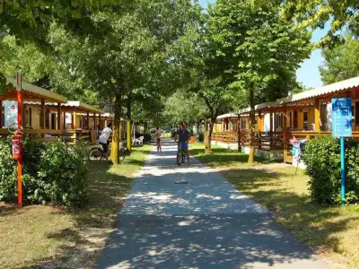 Camping Portofelice - 62